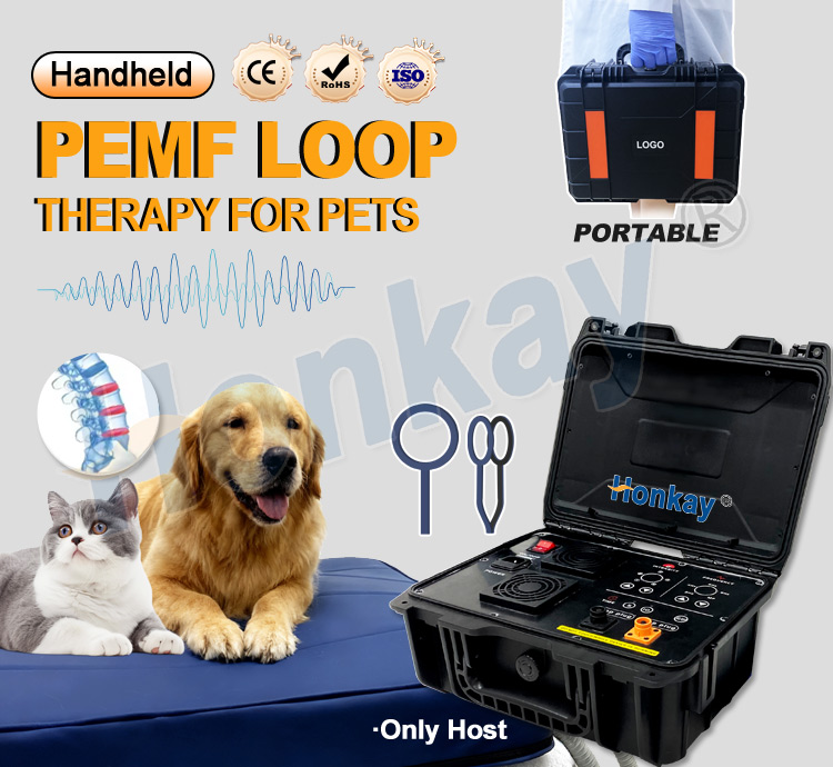 Personal Pet Care PEMF Device  - Health Wellness Massage 评论和价格