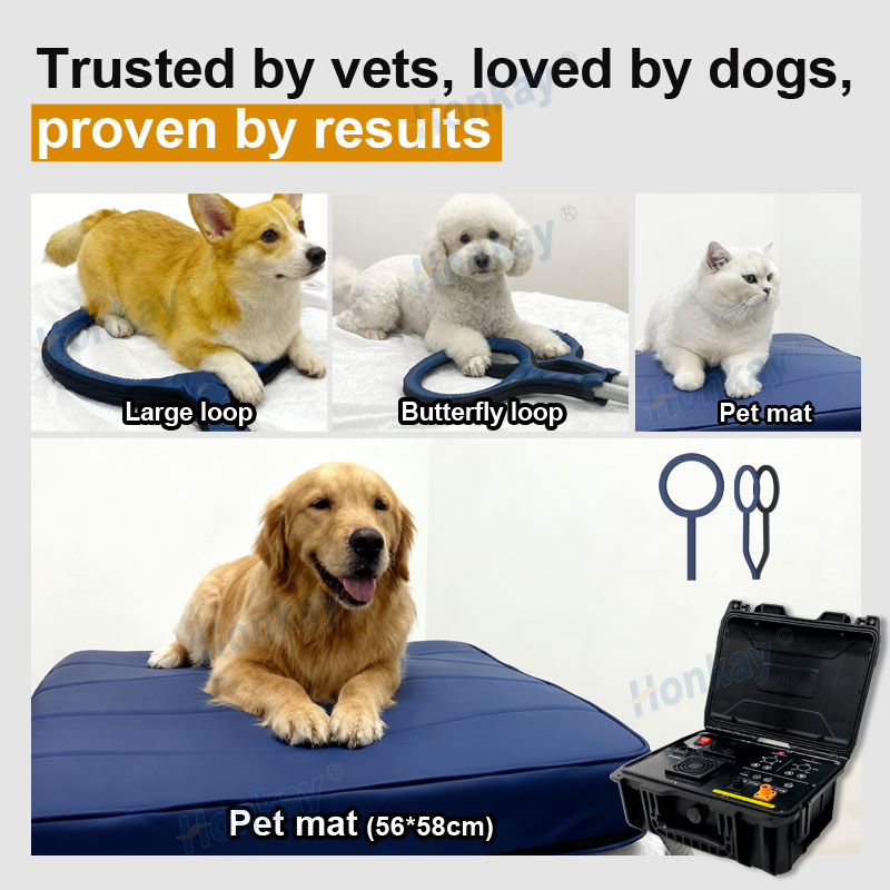 Personal Pet Care PEMF Device  - Health Wellness Massage 评论和价格