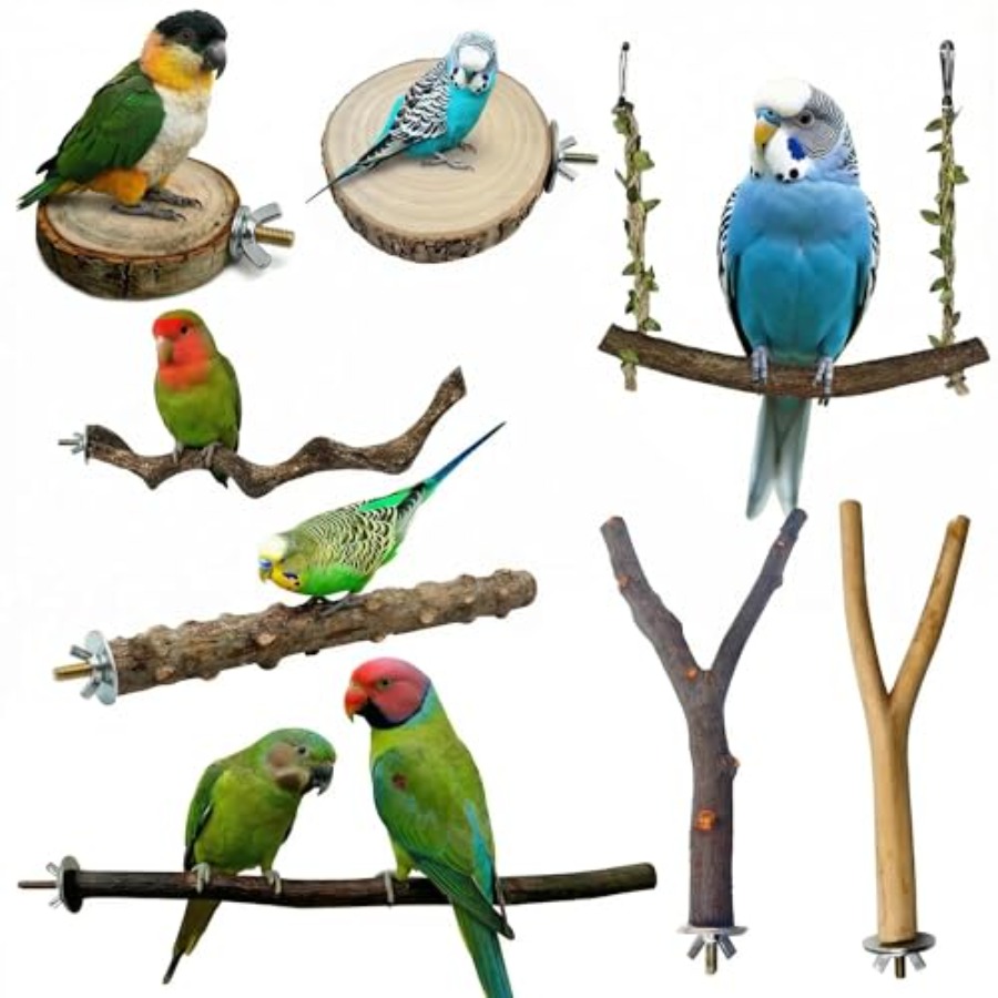 8PCS natural wood bird perches - Health & Wellness Therapy Center 评论和价格