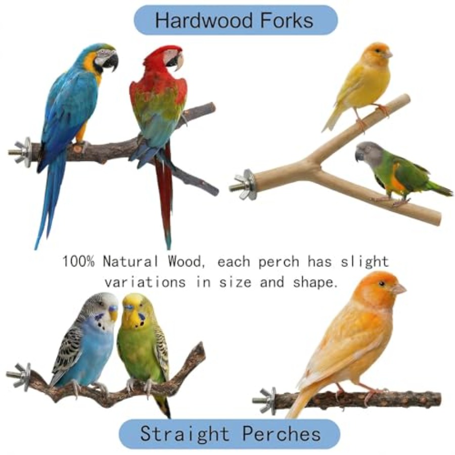8PCS natural wood bird perches - Health & Wellness Therapy Center 评论和价格