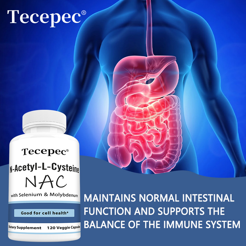 NAC Capsules – Antioxidant, Su - Health Wellness Day 评论和价格