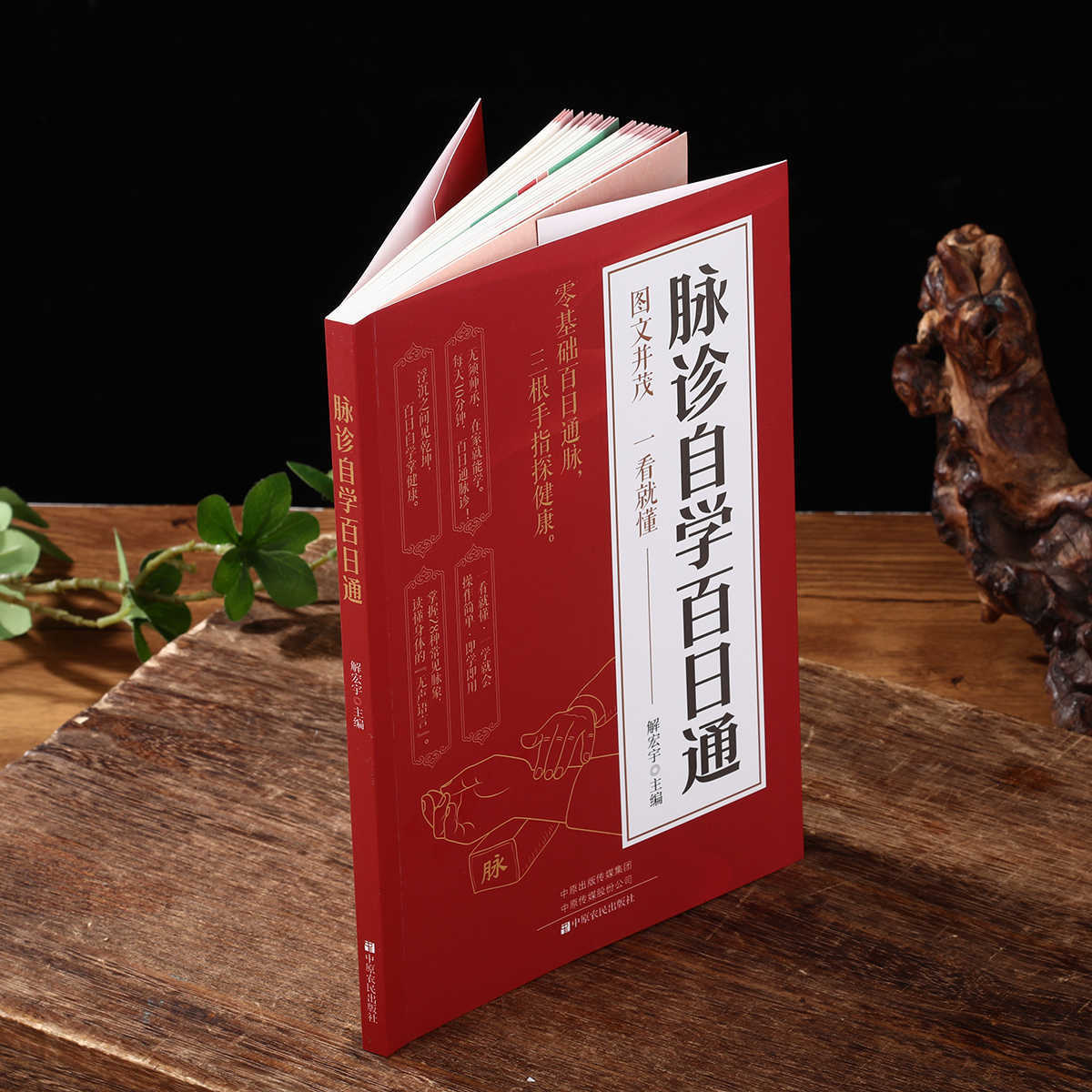 Pulse Diagnosis Self Study Hun - Health & Wellness Therapy Center 评论和价格